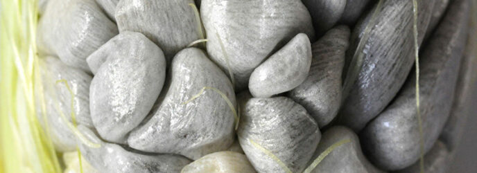 HUITLACOCHE: UN MANJAR DIVINO, UNA VALIOSA MEDICINA O UNA DESAGRADABLE PLAGA