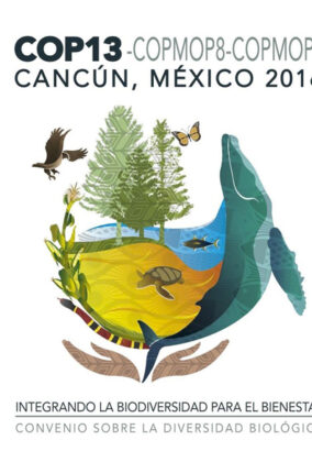 CONFERENCIA DE LAS NACIONES UNIDAS SOBRE BIODIVERSIDAD, CANCUN, MÉXICO 2016