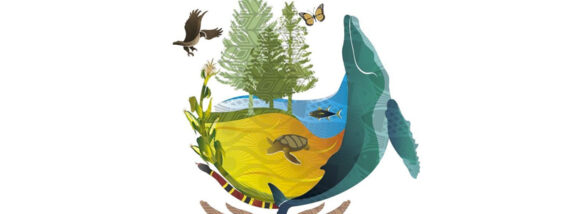 CONFERENCIA DE LAS NACIONES UNIDAS SOBRE BIODIVERSIDAD, CANCUN, MÉXICO 2016