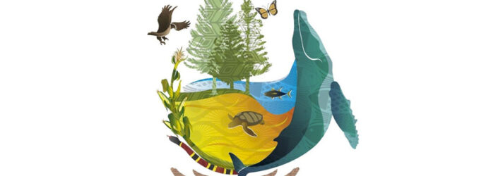 CONFERENCIA DE LAS NACIONES UNIDAS SOBRE BIODIVERSIDAD, CANCUN, MÉXICO 2016