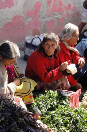 PLANTAS COMESTIBLES EN LOS TIANGUIS DE LA REGIÓN DE LOS VOLCANES