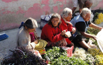 PLANTAS COMESTIBLES EN LOS TIANGUIS DE LA REGIÓN DE LOS VOLCANES