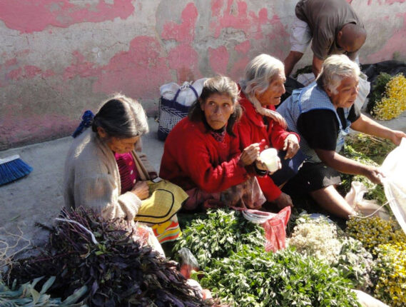 PLANTAS COMESTIBLES EN LOS TIANGUIS DE LA REGIÓN DE LOS VOLCANES