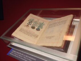 EL CODICE DE LA CRUZ BADIANO PARTE 1