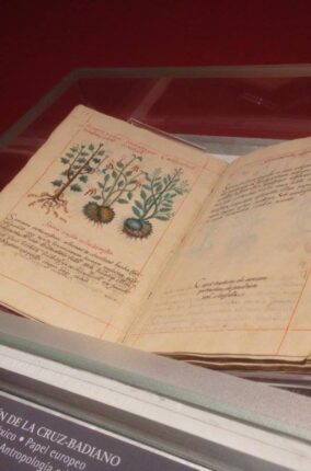 EL CODICE DE LA CRUZ BADIANO PARTE 1