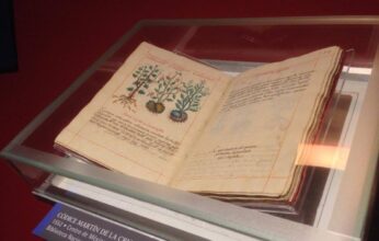 EL CÓDICE DE LA CRUZ BADIANO DE 1552 PARTE 2