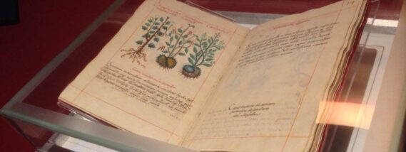 EL CÓDICE DE LA CRUZ BADIANO DE 1552 PARTE 2