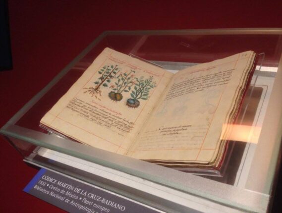 EL CODICE DE LA CRUZ BADIANO PARTE 1