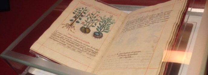 EL CODICE DE LA CRUZ BADIANO PARTE 1