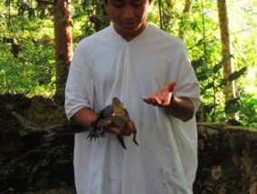 LA VIDA EN LA SELVA LACANDONA PARTE 2