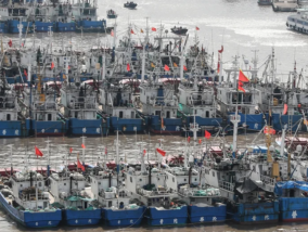 EL PROBLEMA DE LA PESCA DEPREDADORA Y LAS ISLAS GALÁPAGOS, PATRIMONIO NATURAL DE LA HUMANIDAD