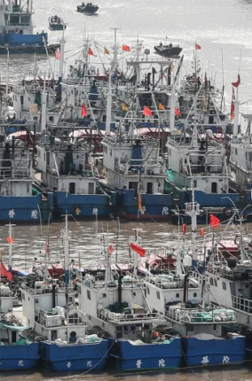 EL PROBLEMA DE LA PESCA DEPREDADORA Y LAS ISLAS GALÁPAGOS, PATRIMONIO NATURAL DE LA HUMANIDAD