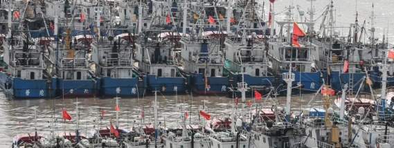 EL PROBLEMA DE LA PESCA DEPREDADORA Y LAS ISLAS GALÁPAGOS, PATRIMONIO NATURAL DE LA HUMANIDAD