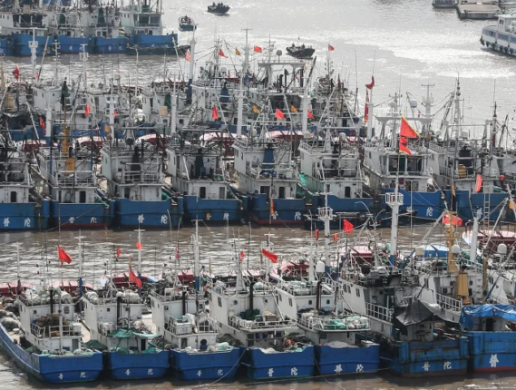 EL PROBLEMA DE LA PESCA DEPREDADORA Y LAS ISLAS GALÁPAGOS, PATRIMONIO NATURAL DE LA HUMANIDAD