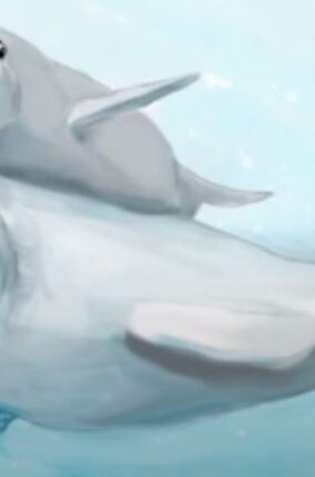 LA DIVULGACIÓN CIENTÍFICA CON CANCIONES Y CUENTOS PARTE 1