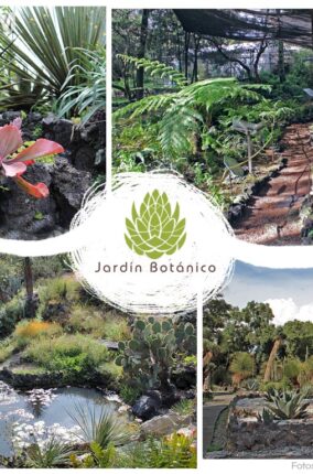 EL CENTRO DE ADOPCIÓN DE PLANTAS EN PELIGRO DE EXTINCIÓN