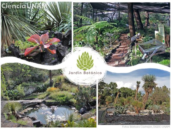 EL CENTRO DE ADOPCIÓN DE PLANTAS EN PELIGRO DE EXTINCIÓN