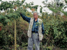 LA LABOR EDUCATIVA DEL DR. ARTURO GÓMEZ POMPA EN EL INIREB. PARTE 2