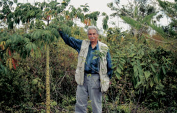 LA LABOR EDUCATIVA DEL DR. ARTURO GÓMEZ POMPA EN EL INIREB. PARTE 2