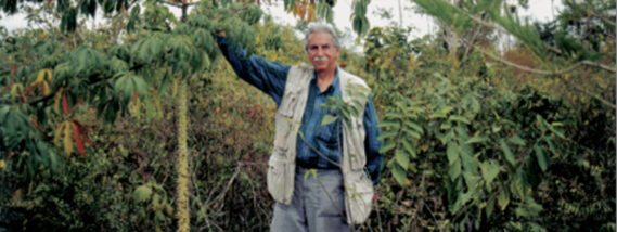 LA LABOR EDUCATIVA DEL DR. ARTURO GÓMEZ POMPA EN EL INIREB. PARTE 2