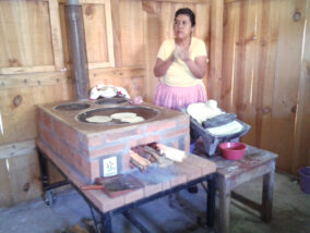 LOS BIOCOMBUSTIBLES SÓLIDOS: OPCIÓN PARA LAS NECESIDADES ENERGÉTICAS EN ZONAS RURALES