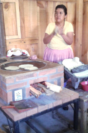 LOS BIOCOMBUSTIBLES SÓLIDOS: OPCIÓN PARA LAS NECESIDADES ENERGÉTICAS EN ZONAS RURALES