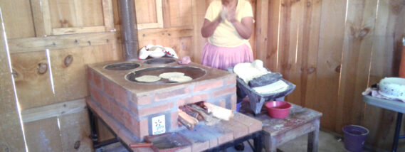 LOS BIOCOMBUSTIBLES SÓLIDOS: OPCIÓN PARA LAS NECESIDADES ENERGÉTICAS EN ZONAS RURALES