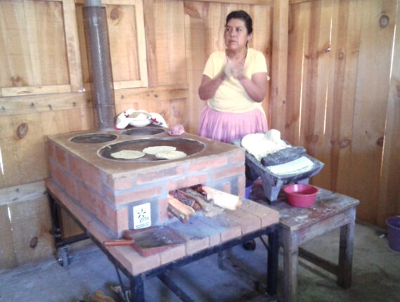 LOS BIOCOMBUSTIBLES SÓLIDOS: OPCIÓN PARA LAS NECESIDADES ENERGÉTICAS EN ZONAS RURALES