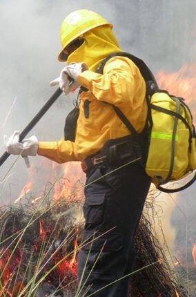 INCENDIOS FORESTALES