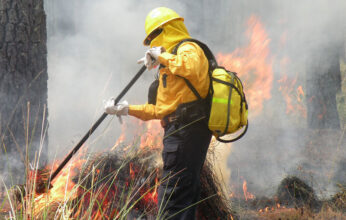 INCENDIOS FORESTALES