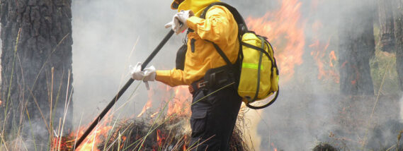 INCENDIOS FORESTALES