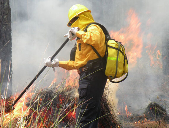 INCENDIOS FORESTALES