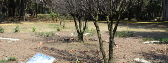 EL JARDÍN BIOCULTURAL “VIVEROS DE COYOACÁN