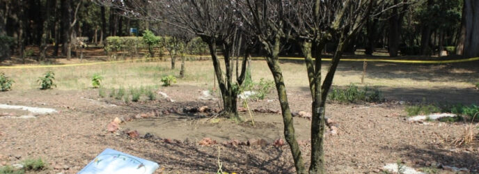 EL JARDÍN BIOCULTURAL “VIVEROS DE COYOACÁN