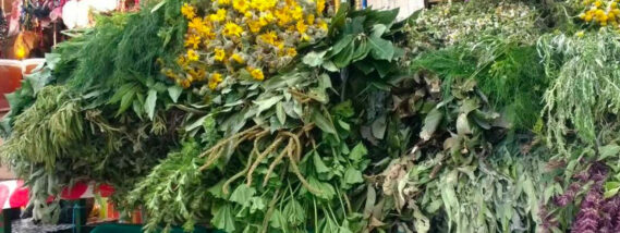 LA MEDICINA TRADICIONAL EN LA CIUDAD DE MÉXICO