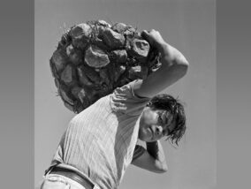 El LIBRO “LABORATORIOS EN LA SELVA”: EL BARBASCO PARTE 2