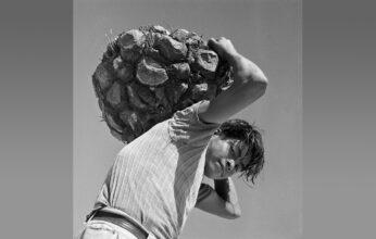 El LIBRO “LABORATORIOS EN LA SELVA”: EL BARBASCO PARTE 2