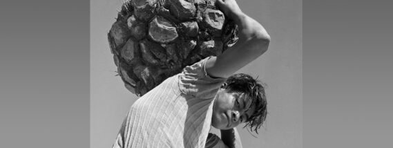 El LIBRO “LABORATORIOS EN LA SELVA”: EL BARBASCO PARTE 2