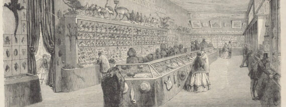 LOS BOTÁNICOS EUROPEOS EN EL IMPERIO MEXICANO DE MAXIMILIANO