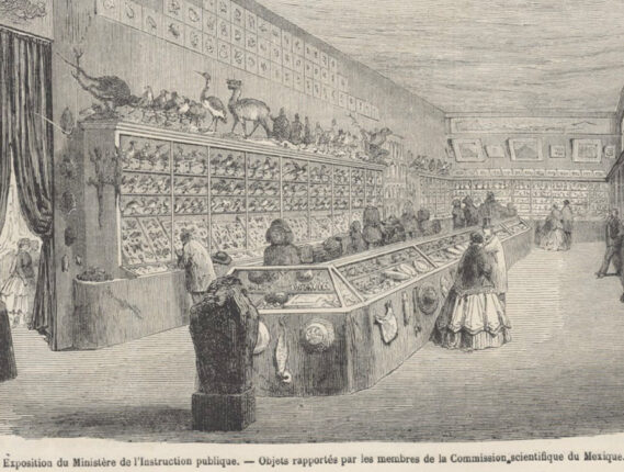 LOS BOTÁNICOS EUROPEOS EN EL IMPERIO MEXICANO DE MAXIMILIANO