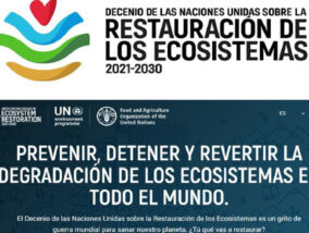 LA DÉCADA PARA LA RESTAURACIÓN DE LOS ECOSISTEMAS