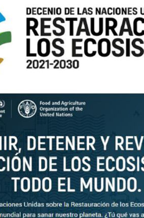 LA DÉCADA PARA LA RESTAURACIÓN DE LOS ECOSISTEMAS