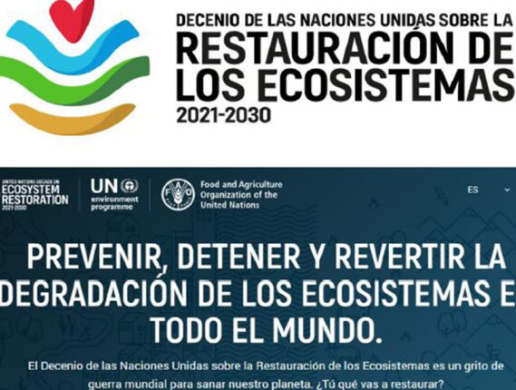 LA DÉCADA PARA LA RESTAURACIÓN DE LOS ECOSISTEMAS