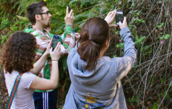 LA INTELIGENCIA ARTIFICIAL APLICADA A LA DETECCIÓN Y CUANTIFICACIÓN DE LA BIODIVERSIDAD