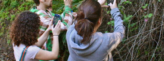 LA INTELIGENCIA ARTIFICIAL APLICADA A LA DETECCIÓN Y CUANTIFICACIÓN DE LA BIODIVERSIDAD