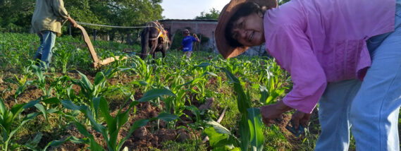 EL DÍA DEL MAÍZ EN LA ESCUELA NACIONAL DE TRABAJO SOCIAL DE LA UNAM