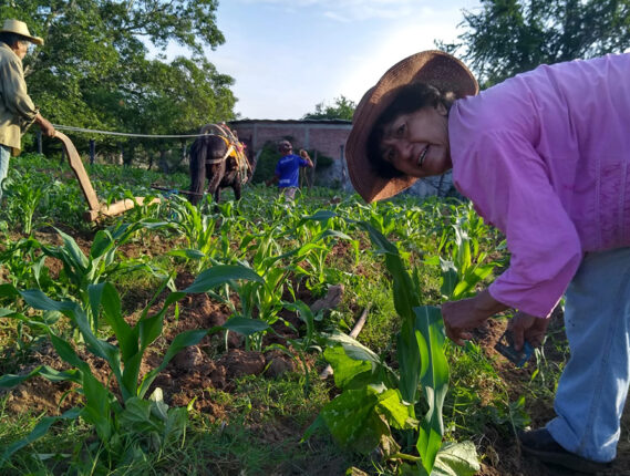 EL DÍA DEL MAÍZ EN LA ESCUELA NACIONAL DE TRABAJO SOCIAL DE LA UNAM