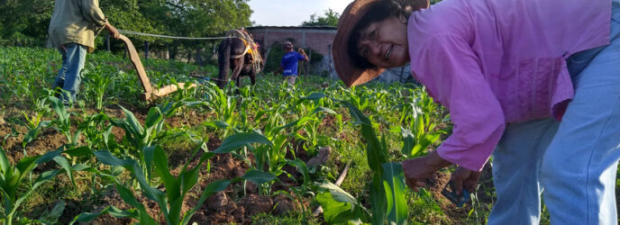 EL DÍA DEL MAÍZ EN LA ESCUELA NACIONAL DE TRABAJO SOCIAL DE LA UNAM