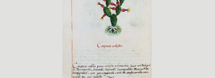 NUEVOS ESTUDIOS DEL CÓDICE CRUZ-BADIANO DE 1552: SU ORIGEN Y SUS PLANTAS
