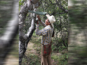 EL COPAL Y LOS COPALEROS PARTE 1